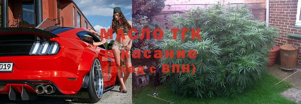 крисы Няндома