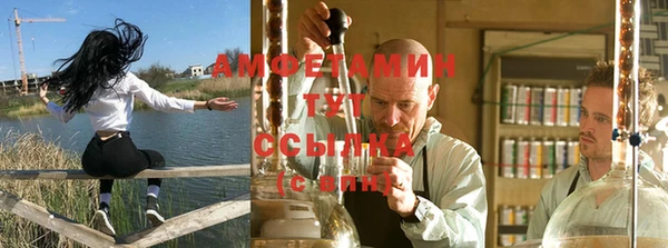 крисы Няндома