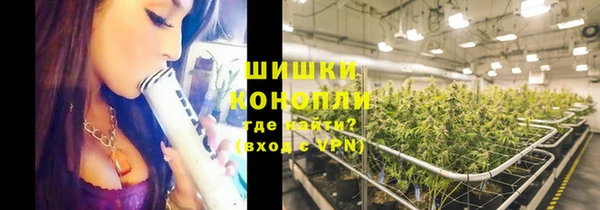 крисы Няндома