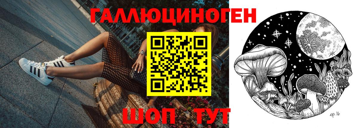 Урюпинск  наркота  Вход с VPN  Псилоцибиновые грибы прущие грибы  Галлюциногенные грибы GOLDEN TEACHER 