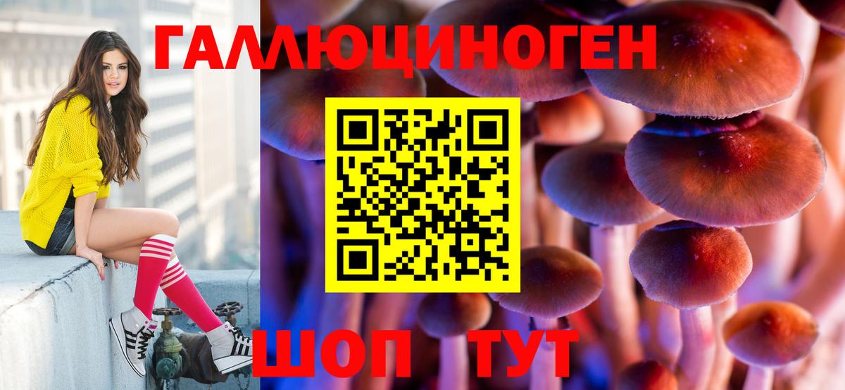 Псилоцибиновые грибы Psilocybine cubensis Урюпинск